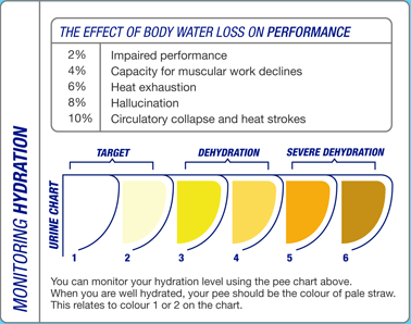 Urine Chart