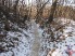 The forest roads even offer a relaxing ride through the tall forest trees