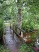 A small bridge leading to roadside singletrack