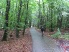 A stretch of paved trail leading to Johanniskreuz