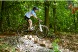 Obstacle 15: Stairs (photo courtesy of Mountainbikepark Pfälzerwald website)