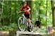 Obstacle 1: Balance Beam (photo courtesy of Mountainbikepark Pfälzerwald website)