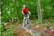 Obstacle 13 (photo courtesy of Mountainbikepark Pfälzerwald website)