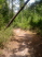 Beginning of a great big ring section, slight descent and flowing turns (photo courtesy of Cypress Bend Resort)