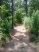 Right before an exhilarating downhill (photo courtesy of Cypress Bend Resort)