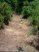 2' deep & off-angle whoops on a slight downhill descent (photo courtesy of Cypress Bend Resort)