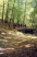 Expect to find hikers along this extensive singletrack trail (photo courtesy of pdougmc)