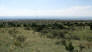 A view from the trail of the Albuquerque suburbs