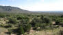 Looking out across the foothills