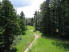 Singletrack following the treeline