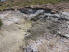 Geology can be interesting when water is coming up through the rocks