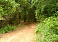 LBJ National Grasslands multi-use trail