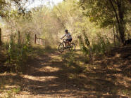 McAllister Park