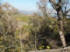 Overlooking Belton Lake through the trees