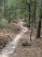 A series of wood crossings allows the trail to be used much more quickly after a rain