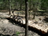 Bridges like this keep the trails sustainable (photo courtesy of EastTexasBill)