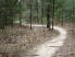 The singletrack winding through 30 Aker Woods