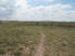 Singletrack starting from the stables