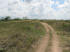 A short stretch of doubletrack leads to the dirt road