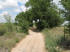 A peaceful stretch of dirt road