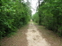 This long stretch of doubletrack runs along the west side of the park