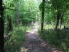 One of many bridges along the trail (Cagle)