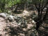 Looking down at the intersection of Canyon Descent and Lower Canyon Trails