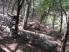 A winding section of singletrack following a bridge and switchback