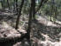 One of many switchbacks allowing for a smooth ride