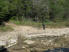 Intersection of the Spillway Hiking and White-tail Hollow Trails