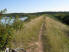 Peaceful singletrack running along Cedar Lake