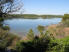 Overlooking Cedar Lake from Coyote Run Nature Trail