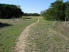 The pleasant singletrack of Whispering Meadow Trail