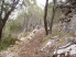 Heading down a switchback along River Trail (photo courtesy of the Waco Bicycle Club)