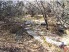 Dog Leg Canyon Trail (photo courtesy of the Waco Bicycle Club)