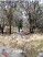 Tie Slide Trail (photo courtesy of the Waco Bicycle Club)