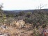 Tie Slide Trail (photo courtesy of the Waco Bicycle Club)