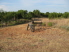 The trailhead right behind park HQ