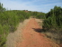 A little wide-open doubletrack to get your cranks spinning