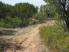 Bull Canyon Trail offers some of the more technical sections and more singletrack