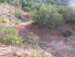 Heading up into Rocky Ledges Loop