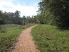 Follow this pathway to the singletrack (photo courtesy of Mike Strawns)