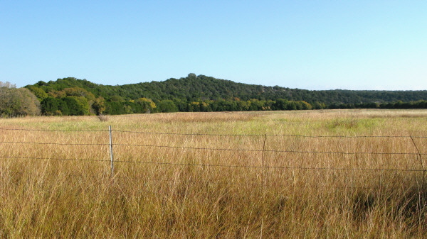 Dinosaur Valley State Park