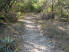 A little rocky singletrack