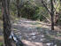 A dark, rocky descent near Marker G on the White trail