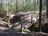 One of several wood bridges along the trail (photo courtesy of EastTexasBill)