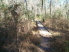 Use of wood bridges help make this trail rideable quickly after a rain (photo courtesy of EastTexasBill)