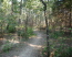 A little winding section of singletrack (photo courtesy of NTMBP)