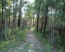 Much of the trail is well shaded (photo courtesy of NTMBP)