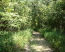 A section of singletrack/wide path (photo courtesy of NTMBP)